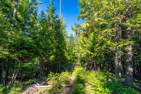 Tiny photo for Nhn Big Mountain Road, Whitefish, MT 59937 (MLS # 30054737)