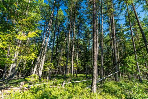 Tiny photo for Nhn Big Mountain Road, Whitefish, MT 59937 (MLS # 30054737)