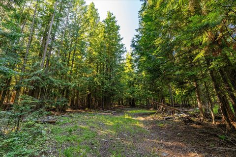 Tiny photo for Nhn Big Mountain Road, Whitefish, MT 59937 (MLS # 30054737)