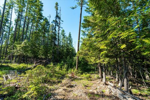 Tiny photo for Nhn Big Mountain Road, Whitefish, MT 59937 (MLS # 30054737)