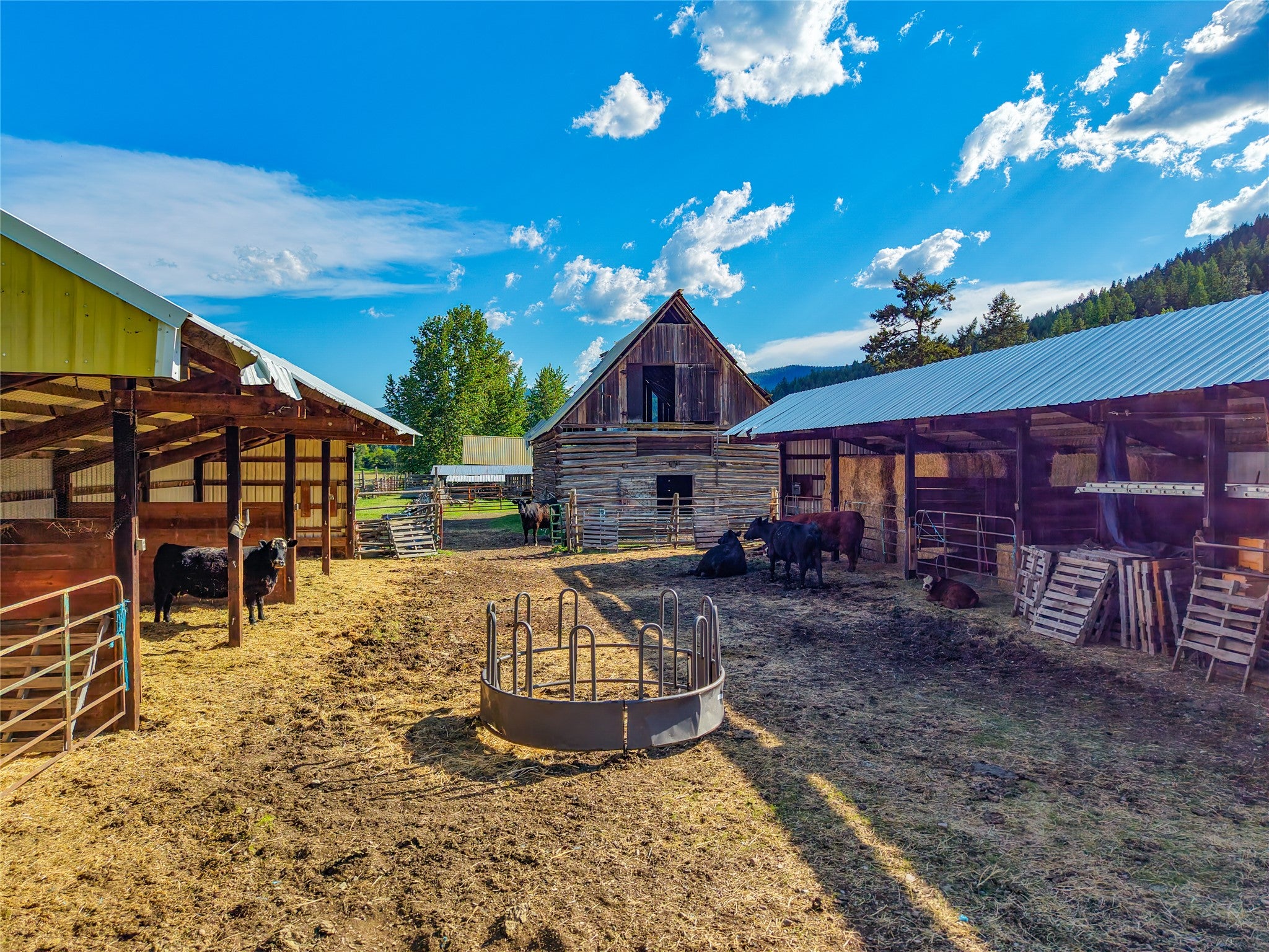 1132 Arabian Ln, Libby, MT, 59923, USA, 6 Bedrooms Bedrooms, ,2 BathroomsBathrooms,Residential,Active,1132 Arabian Ln,30072220