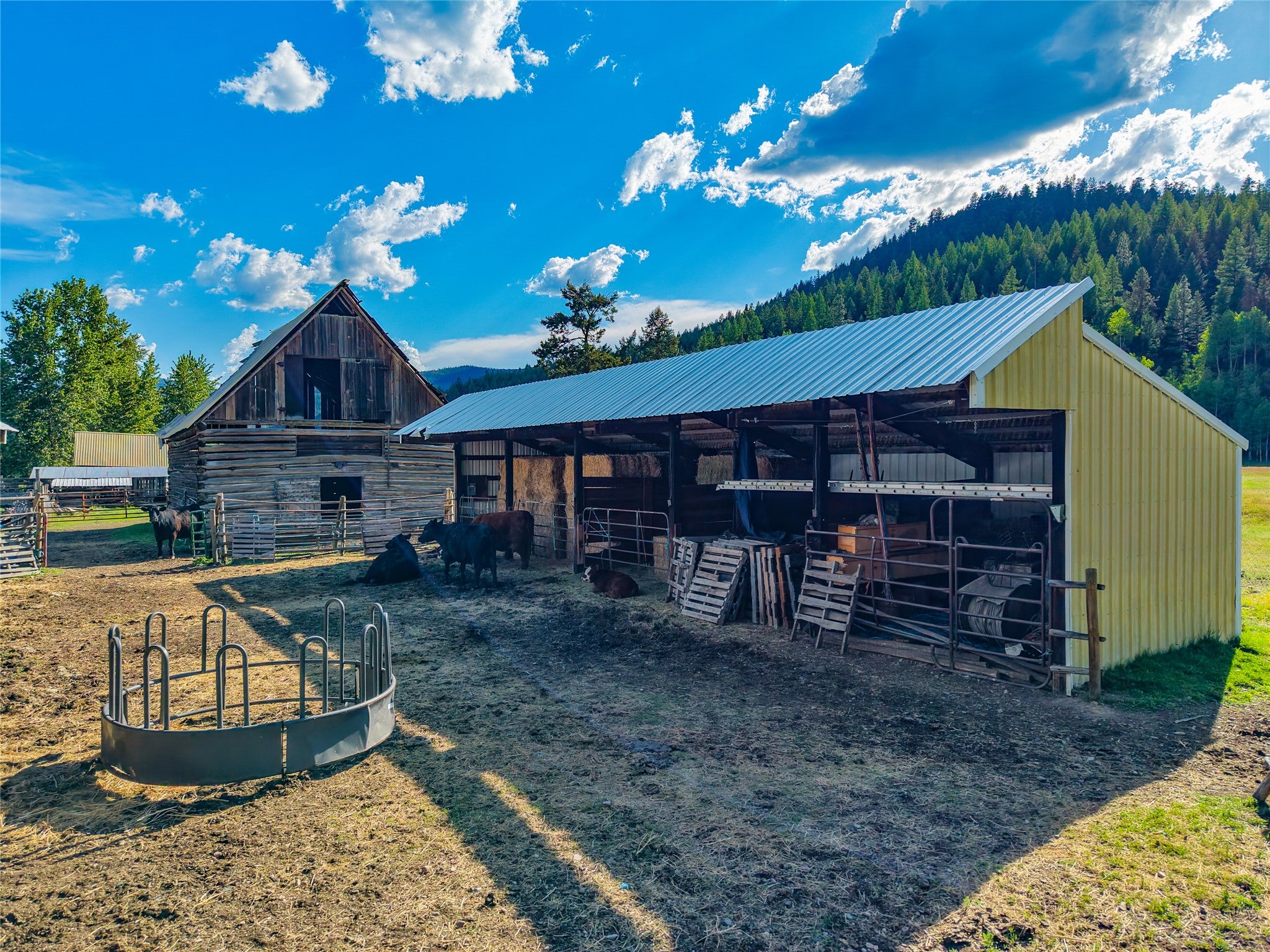 1132 Arabian Ln, Libby, MT, 59923, USA, 6 Bedrooms Bedrooms, ,2 BathroomsBathrooms,Residential,Active,1132 Arabian Ln,30072220