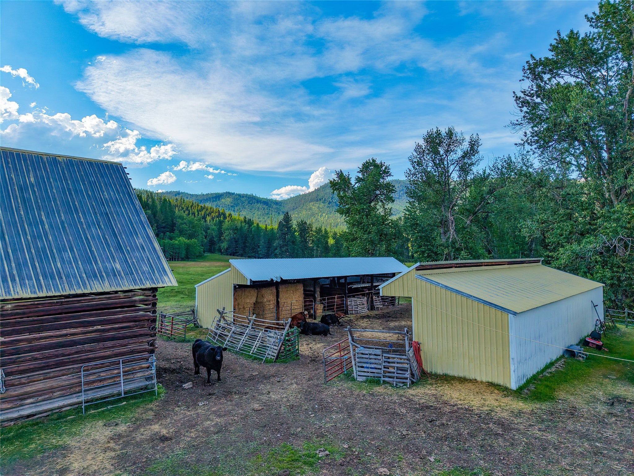 1132 Arabian Ln, Libby, MT, 59923, USA, 6 Bedrooms Bedrooms, ,2 BathroomsBathrooms,Residential,Active,1132 Arabian Ln,30072220
