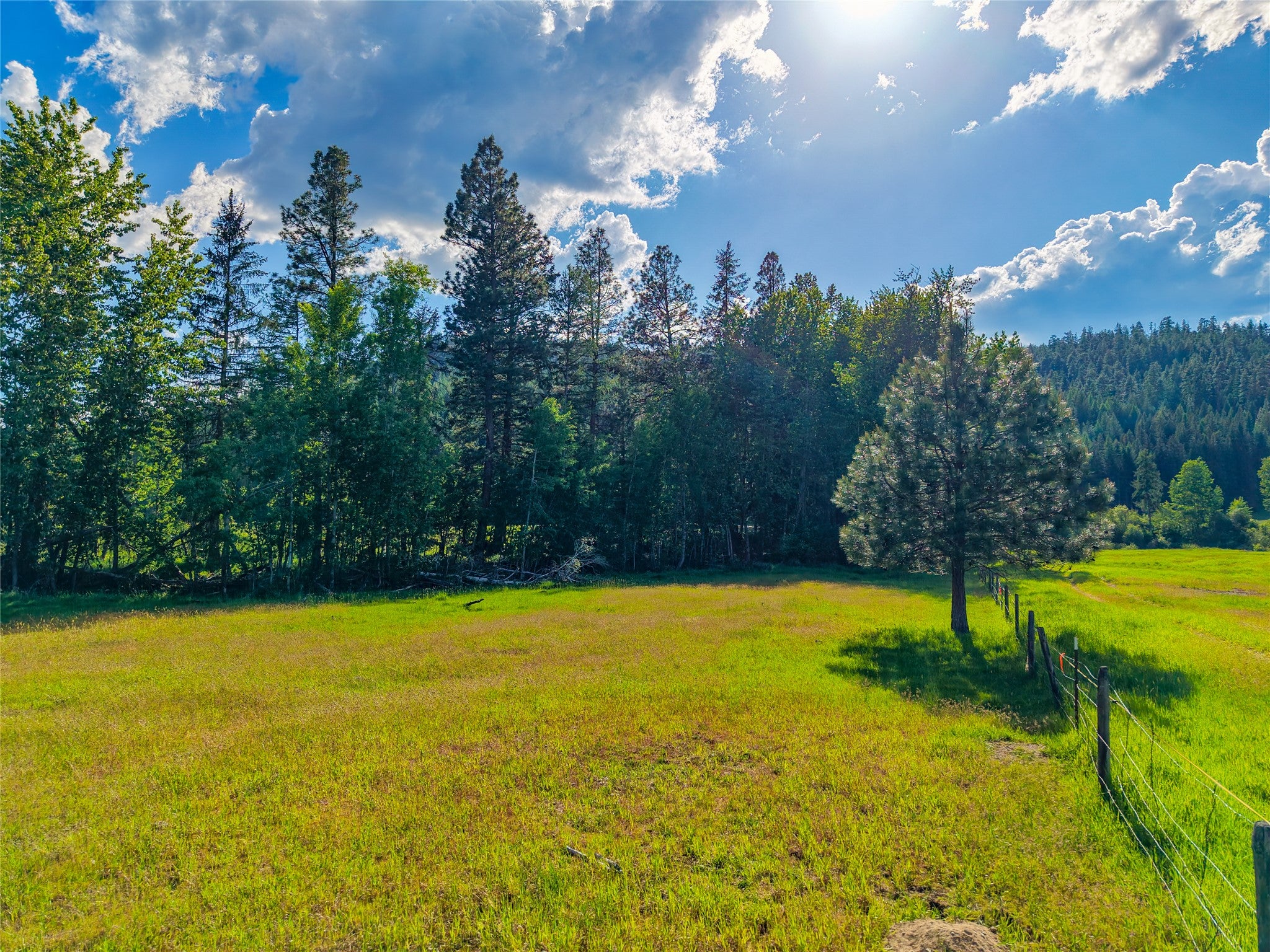 1132 Arabian Ln, Libby, MT, 59923, USA, 6 Bedrooms Bedrooms, ,2 BathroomsBathrooms,Residential,Active,1132 Arabian Ln,30072220
