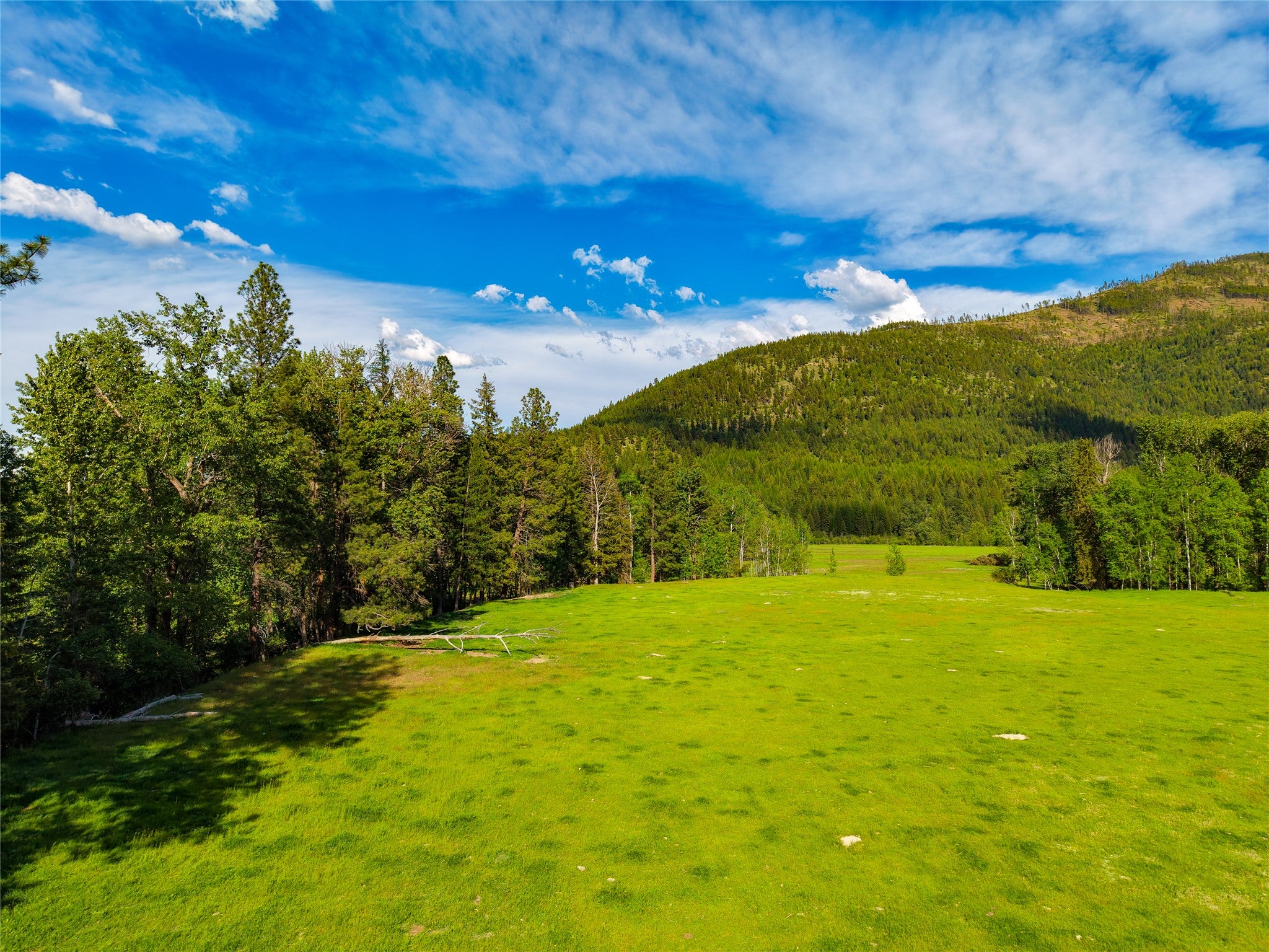 1132 Arabian Ln, Libby, MT, 59923, USA, 6 Bedrooms Bedrooms, ,2 BathroomsBathrooms,Residential,Active,1132 Arabian Ln,30072220