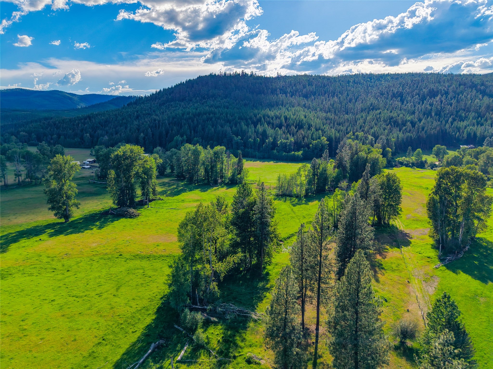 1132 Arabian Ln, Libby, MT, 59923, USA, 6 Bedrooms Bedrooms, ,2 BathroomsBathrooms,Residential,Active,1132 Arabian Ln,30072220