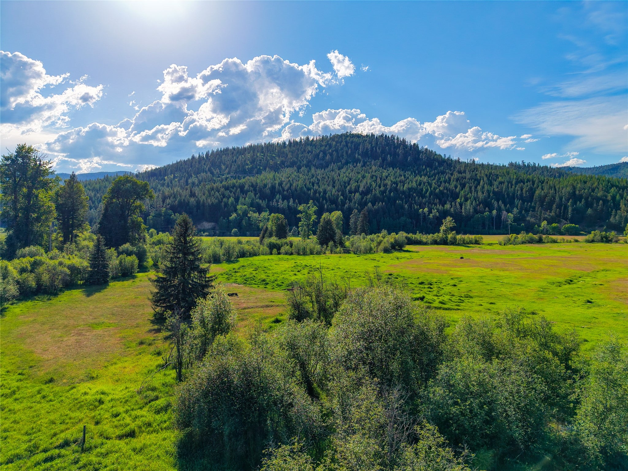 1132 Arabian Ln, Libby, MT, 59923, USA, 6 Bedrooms Bedrooms, ,2 BathroomsBathrooms,Residential,Active,1132 Arabian Ln,30072220