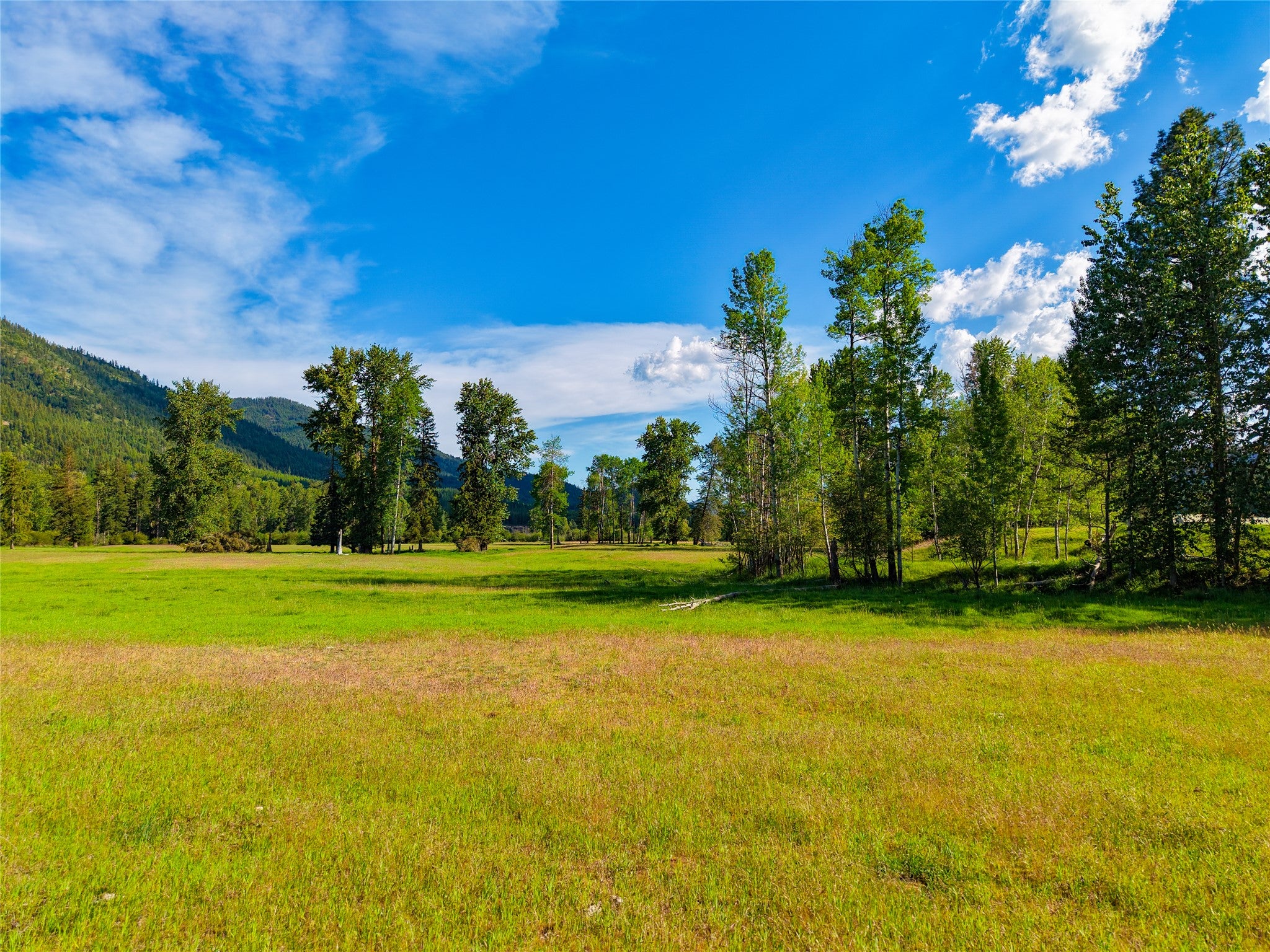 1132 Arabian Ln, Libby, MT, 59923, USA, 6 Bedrooms Bedrooms, ,2 BathroomsBathrooms,Residential,Active,1132 Arabian Ln,30072220