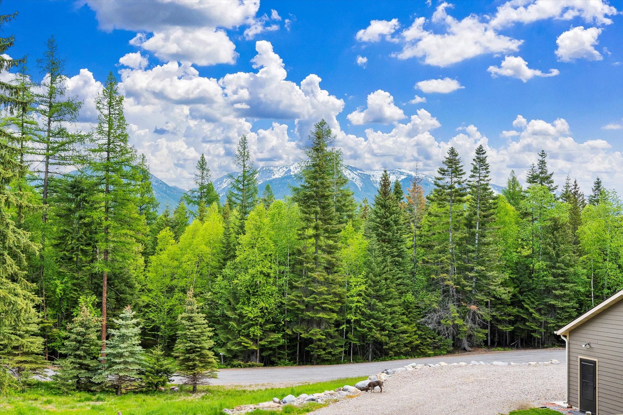 Bigfork, Montana 59911, United States, 6 Bedrooms Bedrooms, ,4 BathroomsBathrooms,Residential,Pending,56263