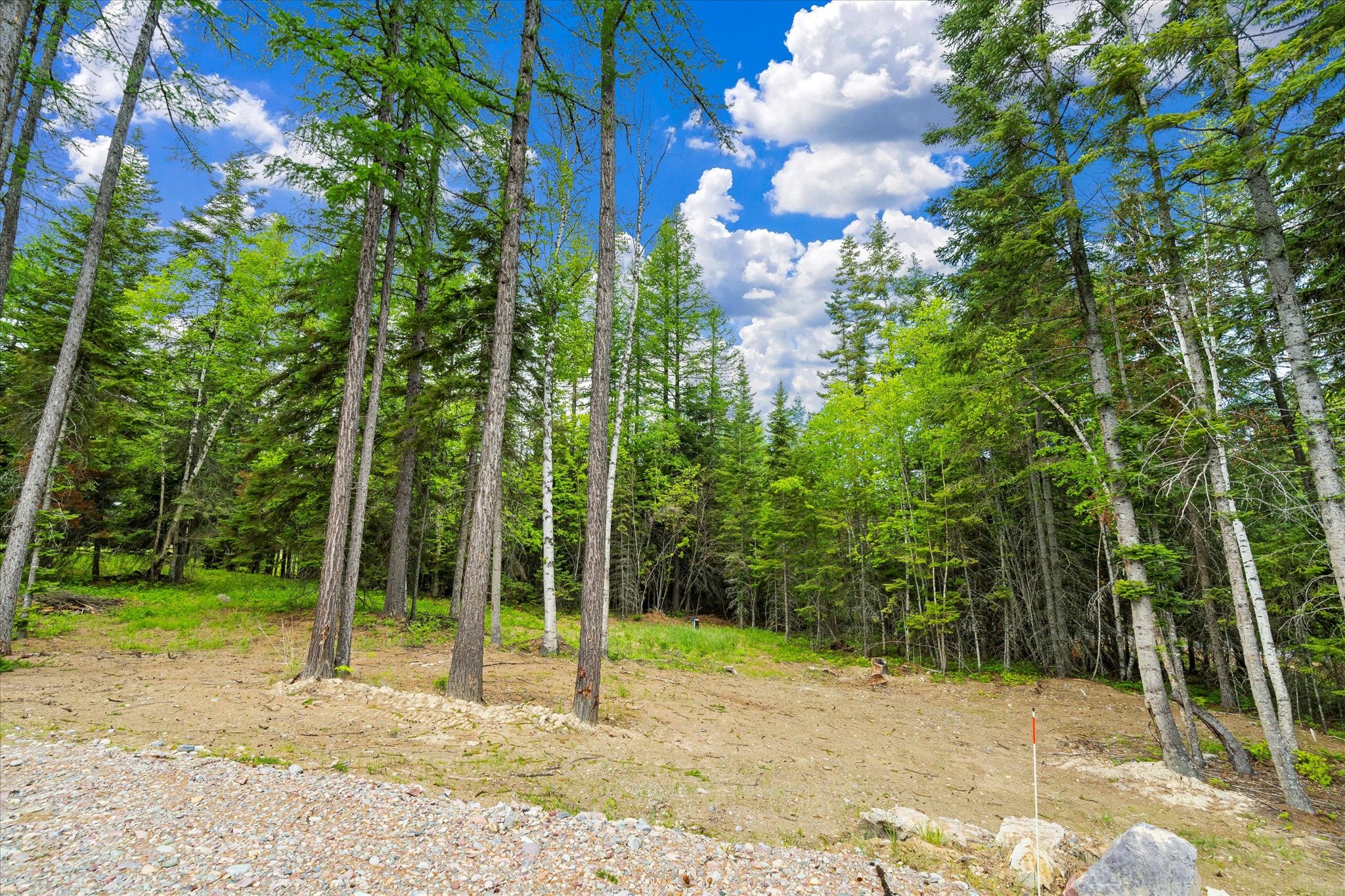 Bigfork, Montana 59911, United States, 6 Bedrooms Bedrooms, ,4 BathroomsBathrooms,Residential,Pending,56263