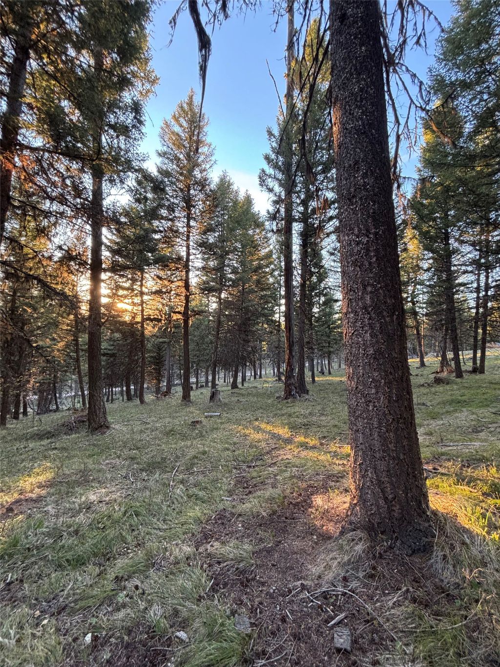 Photo of 139 Montana View Drive, Seeley Lake, MT 59868 (MLS # 30067460)