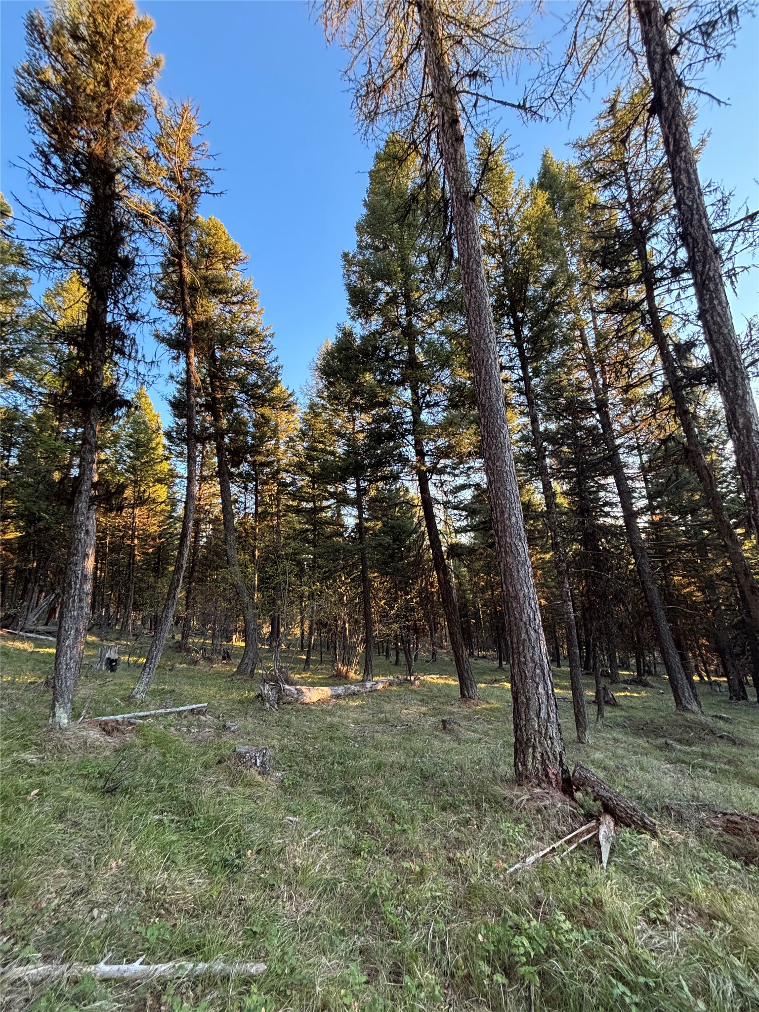 139 Montana View Drive