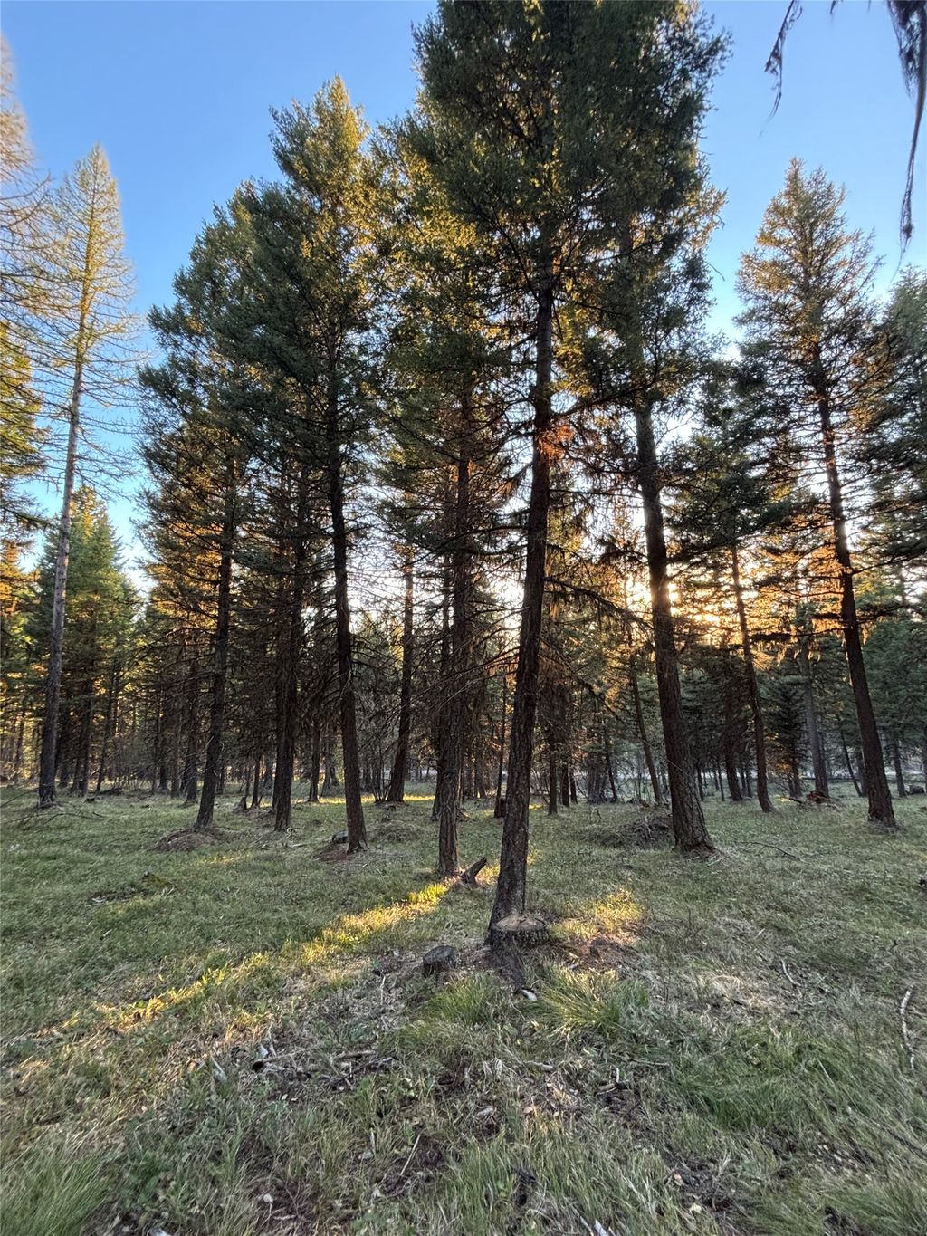 Photo of 139 Montana View Drive, Seeley Lake, MT 59868 (MLS # 30067460)