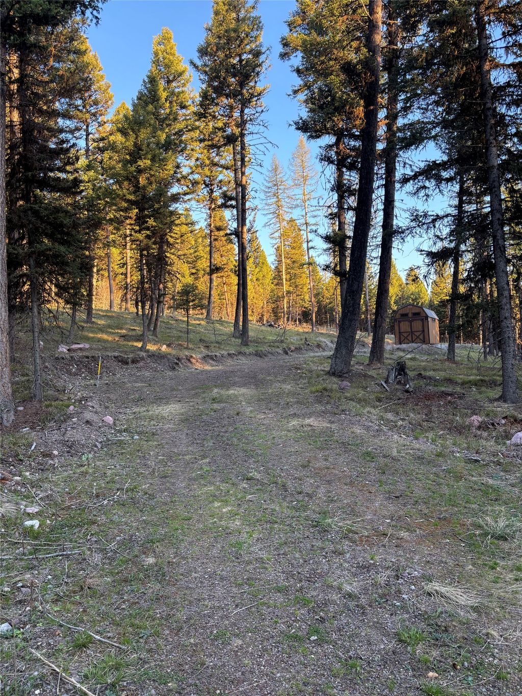 Photo of 139 Montana View Drive, Seeley Lake, MT 59868 (MLS # 30067460)