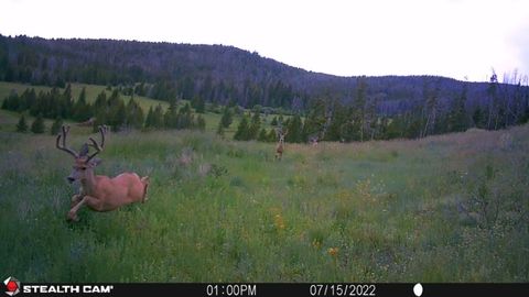 Tiny photo for New Era Indian Creek Road, Townsend, MT 59644 (MLS # 30071022)