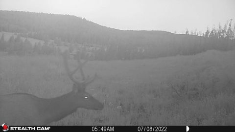 Tiny photo for New Era Indian Creek Road, Townsend, MT 59644 (MLS # 30071022)