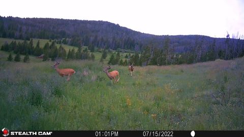 Tiny photo for New Era Indian Creek Road, Townsend, MT 59644 (MLS # 30071022)