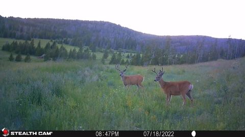 Tiny photo for New Era Indian Creek Road, Townsend, MT 59644 (MLS # 30071022)