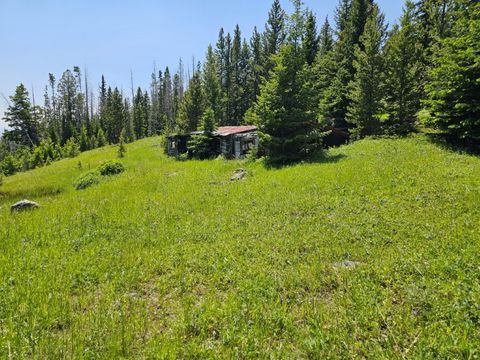 Tiny photo for New Era Indian Creek Road, Townsend, MT 59644 (MLS # 30071022)