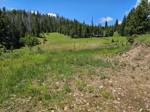 Tiny photo for New Era Indian Creek Road, Townsend, MT 59644 (MLS # 30071022)