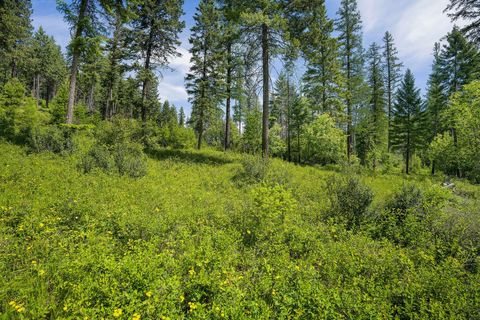 Tiny photo for 429 Chief Cliff Trail, Bigfork, MT 59911 (MLS # 30069966)