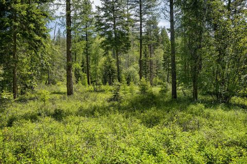 Tiny photo for 429 Chief Cliff Trail, Bigfork, MT 59911 (MLS # 30069966)
