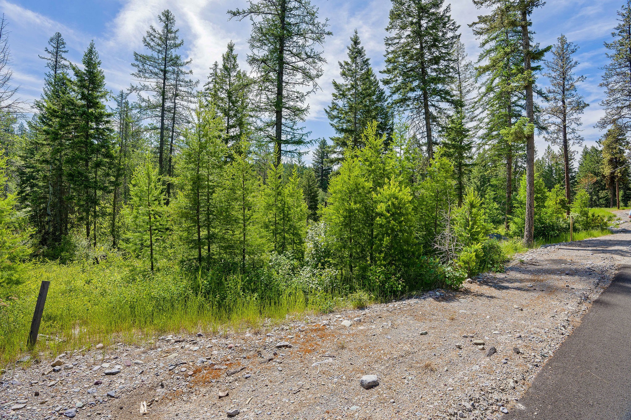 429 Chief Cliff Trail