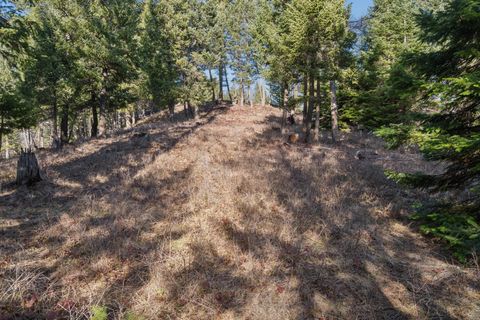 Tiny photo for 55 Wild Turkey Lane, Kalispell, MT 59901 (MLS # 30064431)
