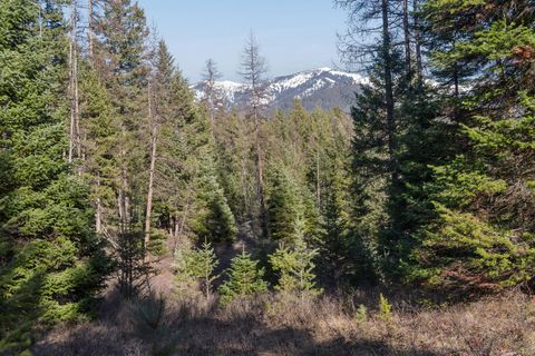 Tiny photo for 55 Wild Turkey Lane, Kalispell, MT 59901 (MLS # 30064431)