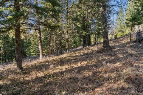 Tiny photo for 55 Wild Turkey Lane, Kalispell, MT 59901 (MLS # 30064431)