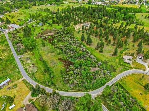 Photo of 127 Blodgett Camp Road, Hamilton, MT 59840 (MLS # 30071315)