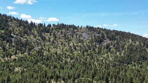 Tiny photo for 10 & 11 Bull Elk, Drummond, MT 59832 (MLS # 30076634)