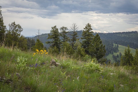 Photo of 10 & 11 Bull Elk, Drummond, MT 59832 (MLS # 30076634)