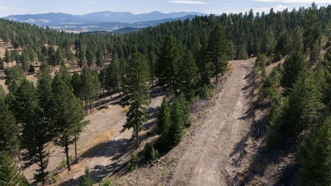 Tiny photo for 35 Crossfire Drive, Clancy, MT 59634 (MLS # 30076387)