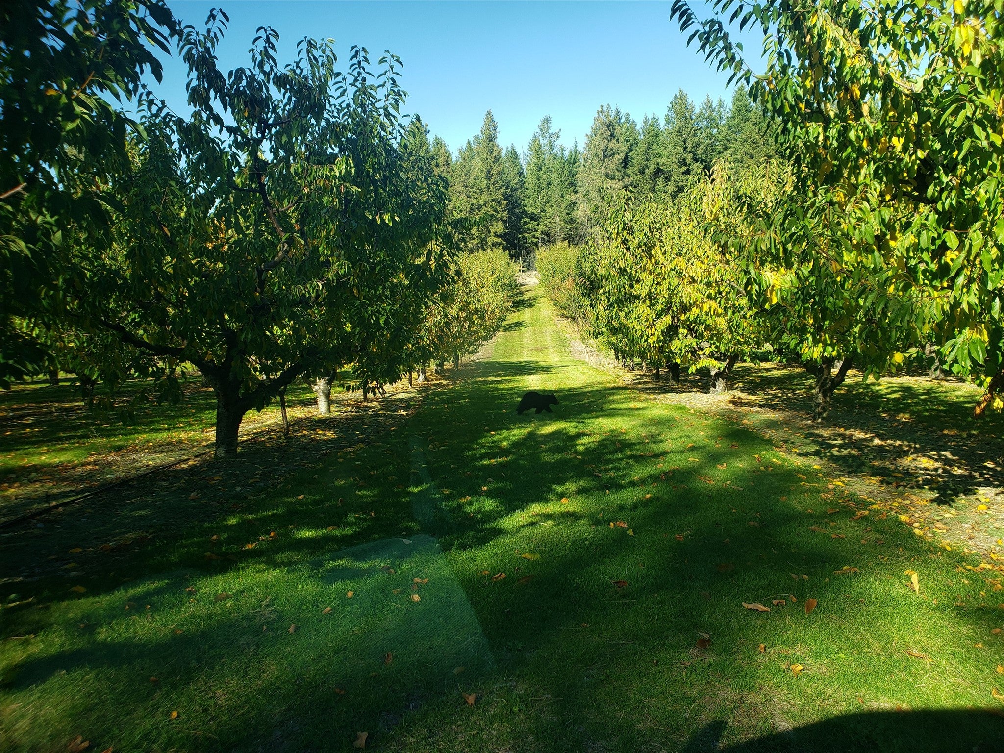 32624 S Finley Point Road