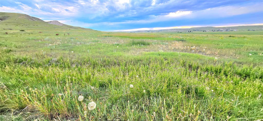 Photo of TBD - Lot 2 Alcorn Lane, Great Falls, MT 59404 (MLS # 30074882)