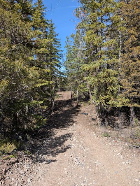 Tiny photo for 2172 Blackburn Drive, Lincoln, MT 59639 (MLS # 30069319)