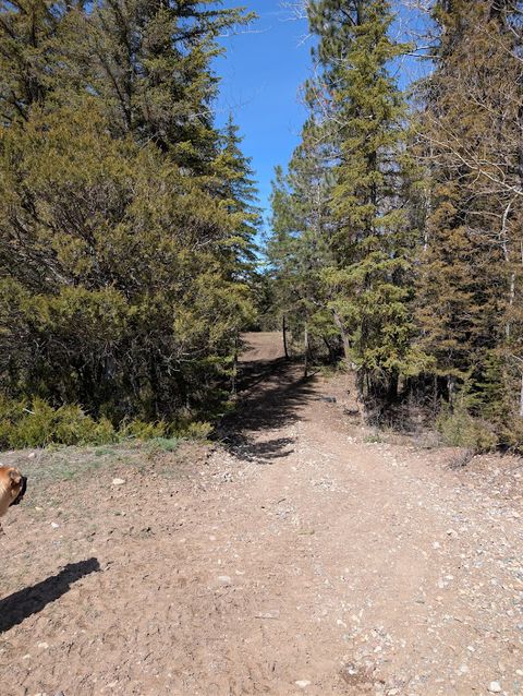 Tiny photo for 2172 Blackburn Drive, Lincoln, MT 59639 (MLS # 30069319)