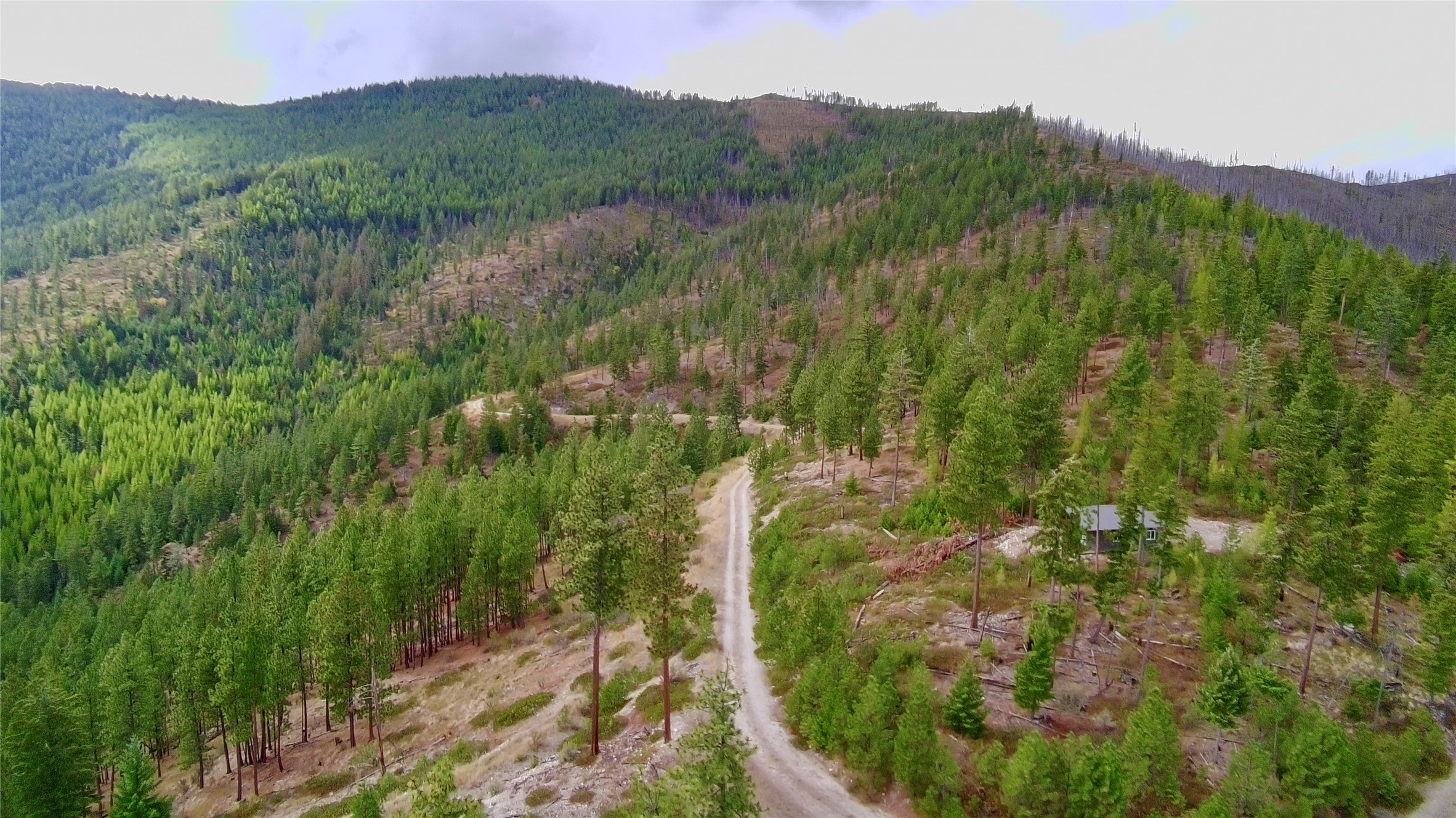 NHN West Fork Combest Creek