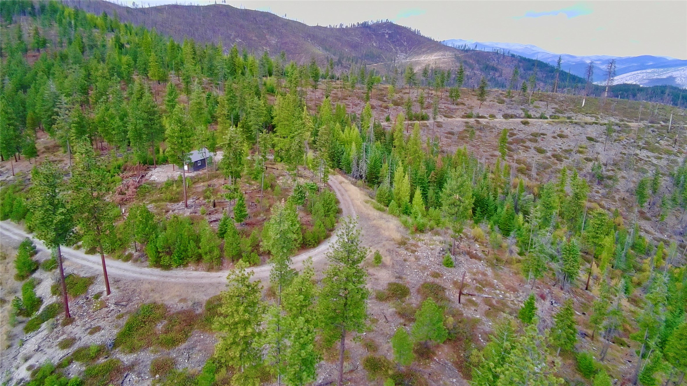 NHN West Fork Combest Creek