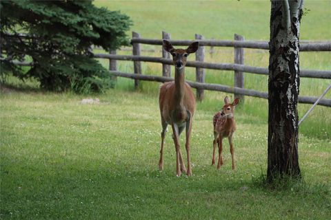 Tiny photo for 41694 Canal Road, Ronan, MT 59864 (MLS # 30070171)