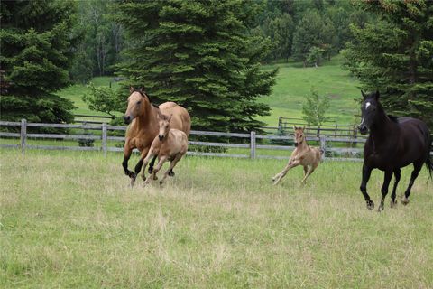 Tiny photo for 41694 Canal Road, Ronan, MT 59864 (MLS # 30070171)