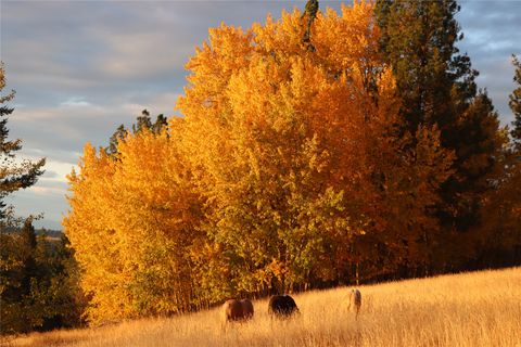Tiny photo for 41694 Canal Road, Ronan, MT 59864 (MLS # 30070171)