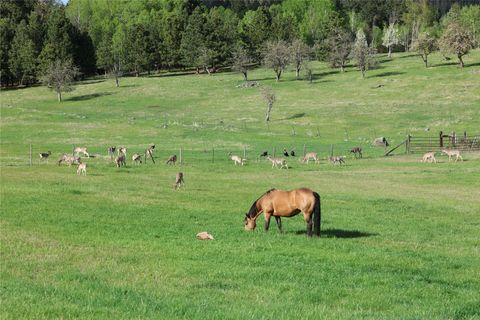 Tiny photo for 41694 Canal Road, Ronan, MT 59864 (MLS # 30070171)