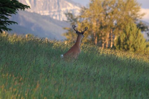 Tiny photo for 41694 Canal Road, Ronan, MT 59864 (MLS # 30070171)