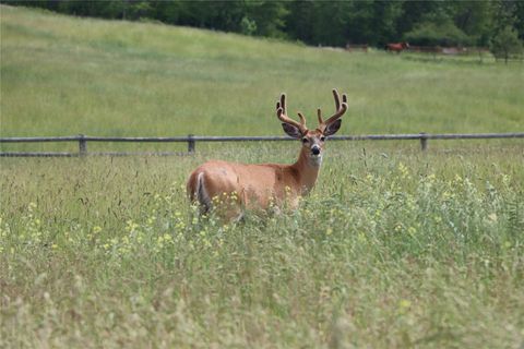 Tiny photo for 41694 Canal Road, Ronan, MT 59864 (MLS # 30070171)