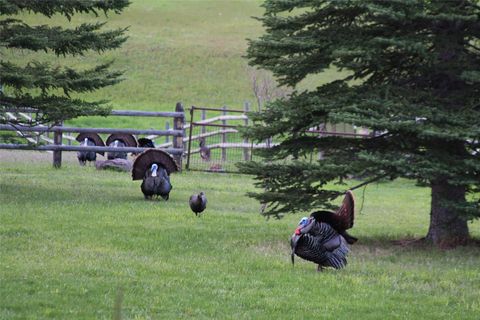 Tiny photo for 41694 Canal Road, Ronan, MT 59864 (MLS # 30070171)
