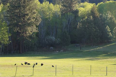 Tiny photo for 41694 Canal Road, Ronan, MT 59864 (MLS # 30070171)