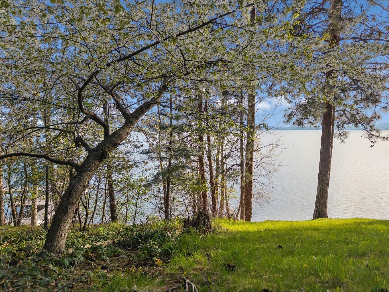 NHN Finley Point Road