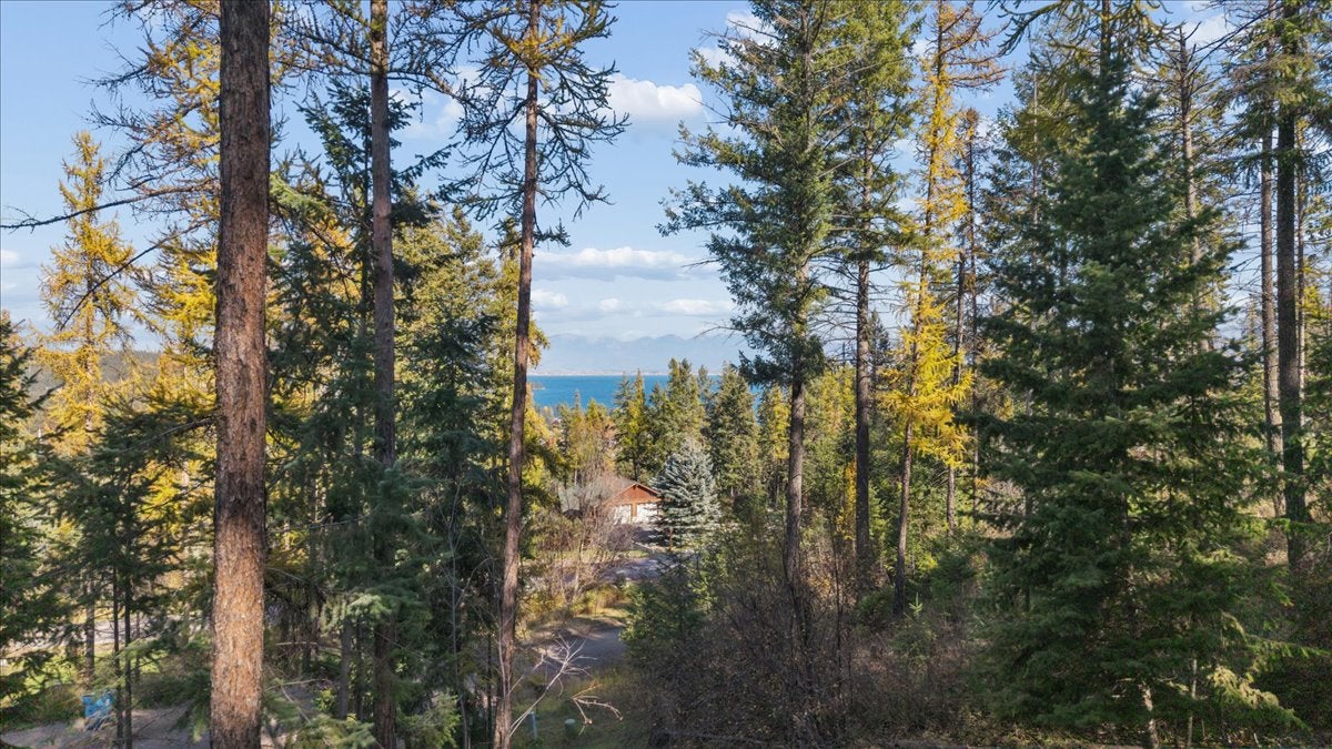 163 Pine Needle Drive